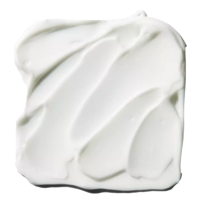 PREVENTA Poreless Face Primer - Large