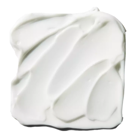 PREVENTA Poreless Face Primer - Large