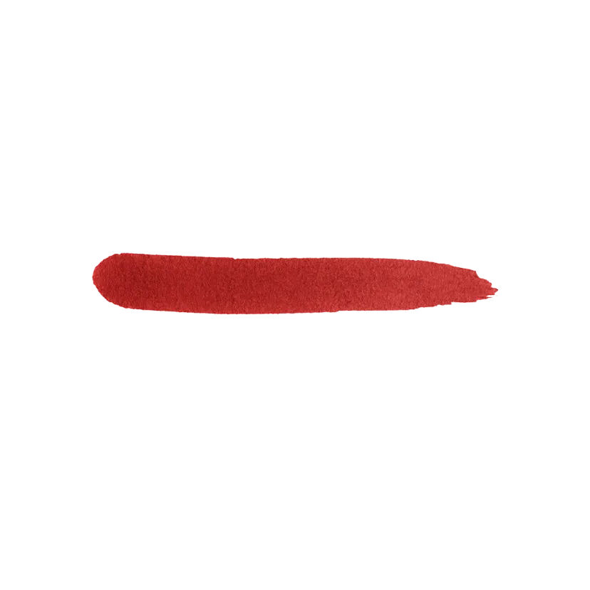 Pulmón delineador labios | Kiko Milano